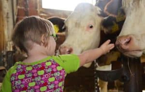 Kinder haben viel Spaß und erfahren viel Neues beim Urlaub auf dem Bauernhof