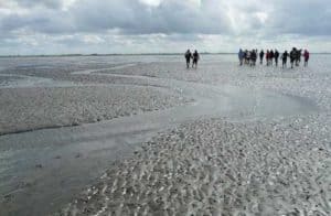Wattwandern an der Nordsee