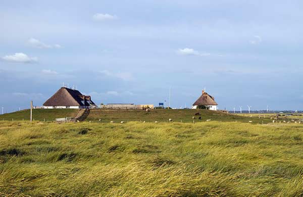 Hallig Hamburger