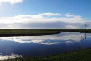 Eine Hallig ist eine kleine Insel im Wattenmeer - hier Hallig Hooge