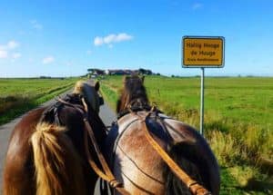 Hallig Hooge