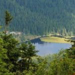 Arbersee mit schwimmender Insel