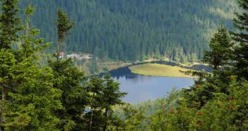 Was ist eine schwimmende Insel? Arbersee mit schwimmender Insel