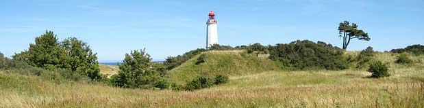 Insel Hiddensee - Dornbusch mit Leuchtturm