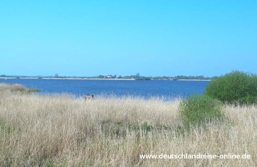 Aussicht auf die Moorlandschaft und den See