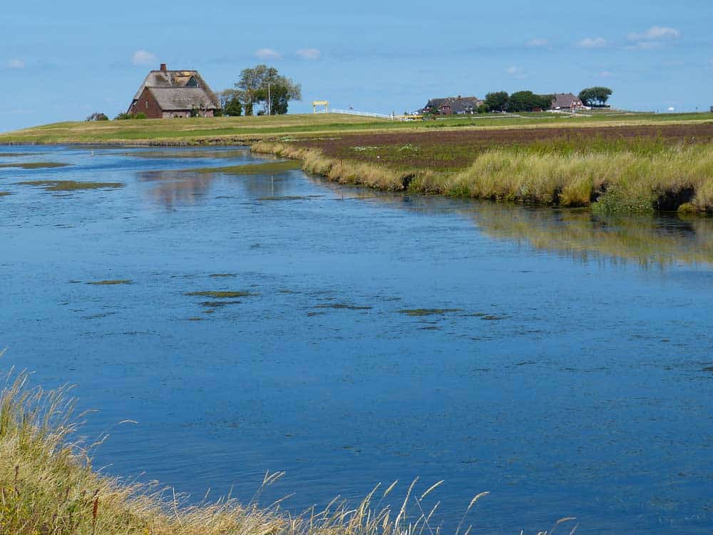 Hallig Hooge