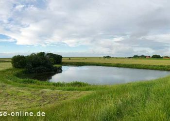Nesmersiel-Drachenwiese-Polderschlott-T-DR