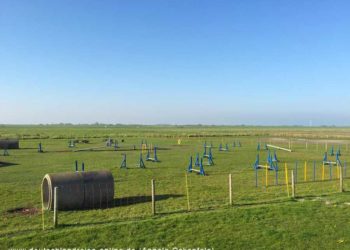 Nessmersiel-Hundeplatz-T-DR-Angela-Ockenfels