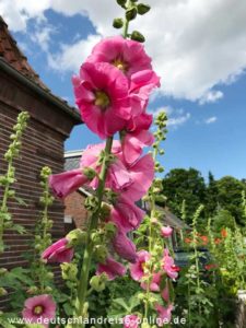 Neßmersiel - ein beschaulicher, ostfriesischer Ort © Deutschlandreise