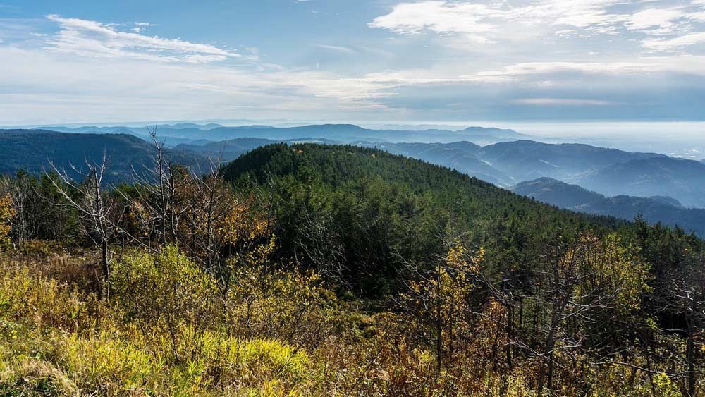 Nordschwarzwald Seebach Hornisgrinde