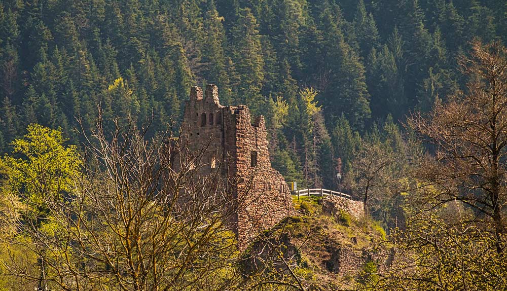 Burgruine im Schwarzwald