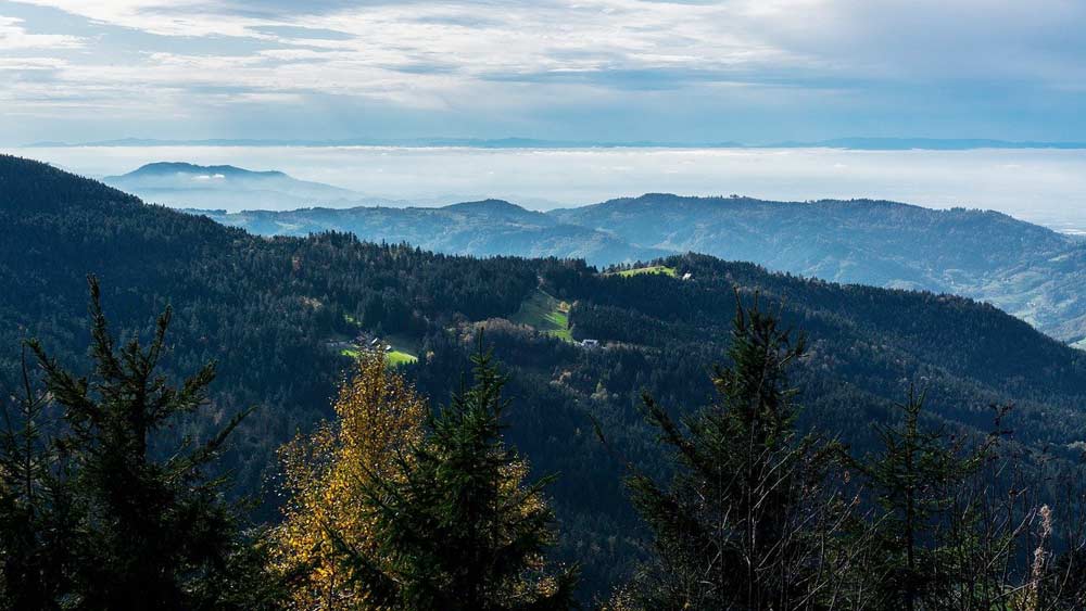 Schwarzwald Hornisgrinde