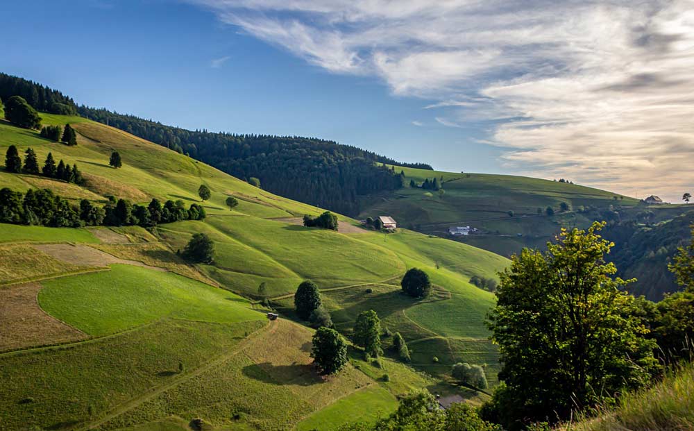 Die Vielfalt der Schwarzwald Landschaft