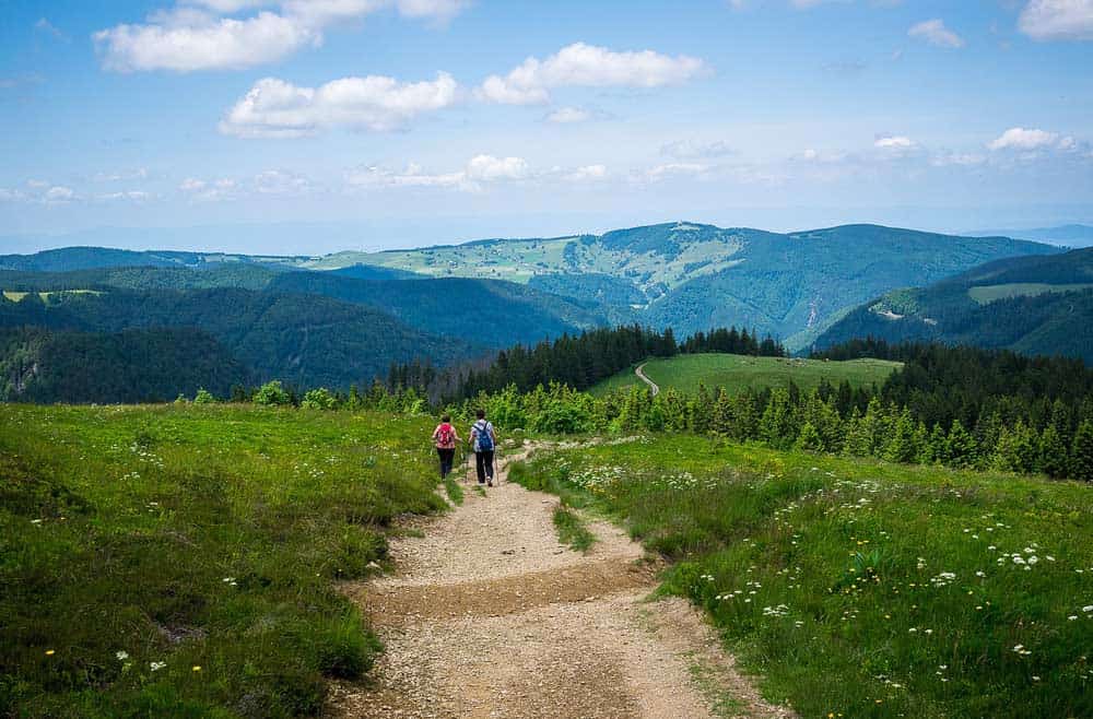 Wanderer im Schwarzwald