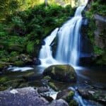 Schwarzwald - das größte Mittelgebirge Deutschlands