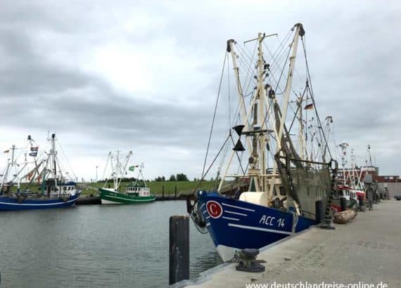 Fischkutter mit Fischereikennzeichen ACC14 © Deutschlandreise