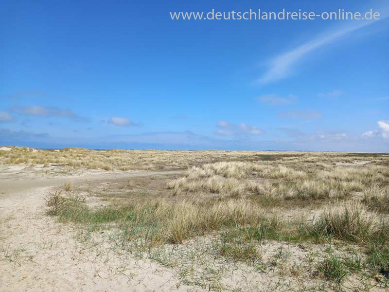 Naturlandschaft im östlichen Teil der Insel Juist