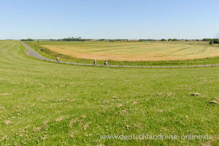 Ein ausgebautes Fahrradwegenetz lädt Fahrradfahrer zum Ostfrieslandurlaub ein - hier Nessmersiel