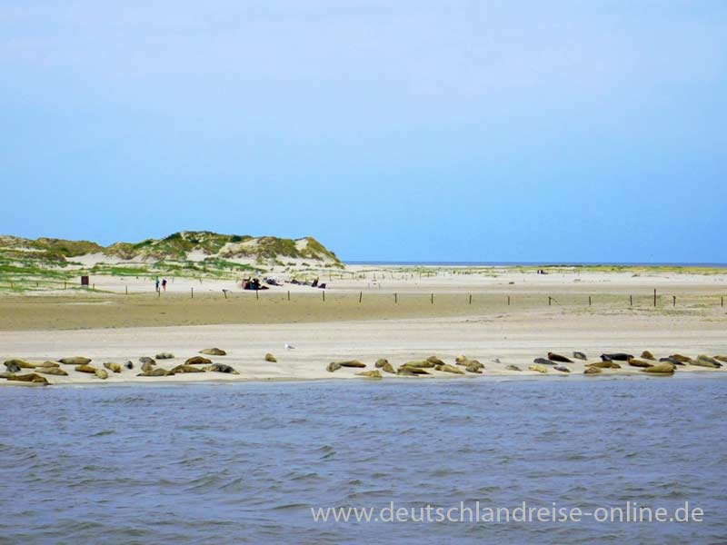 Die Ostspitze von Norderney von der Baltrumfähre aus fotografiert