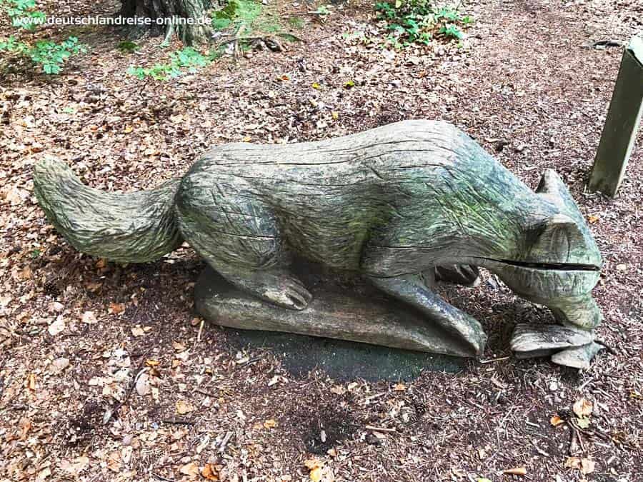 Naturlehrpfad mit Fuchs in Graal Müritz