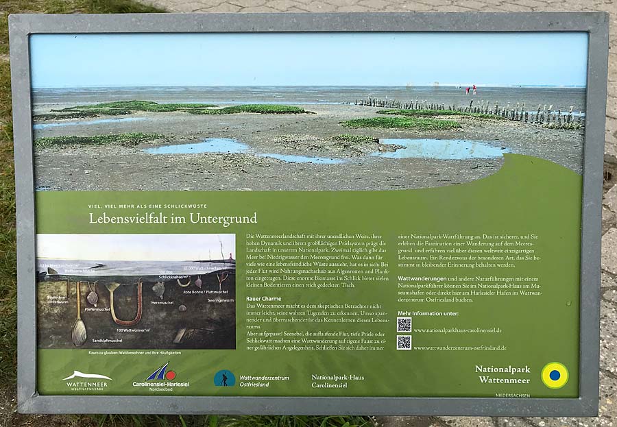Infotafel zum Wattenmeer