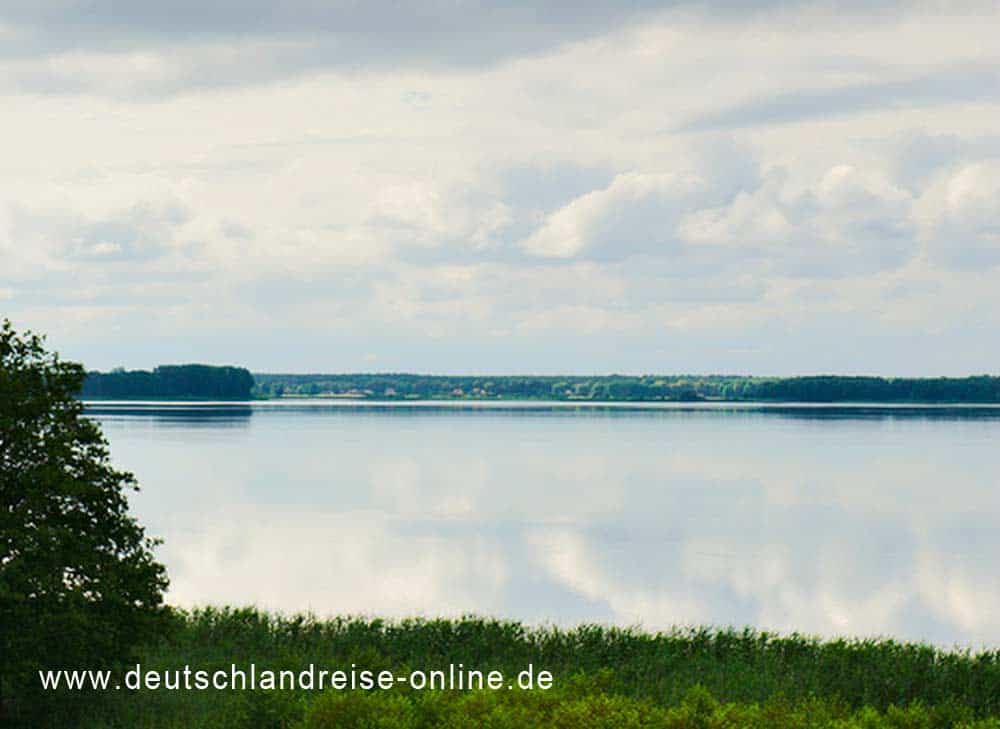 Grimnitzsee im Focus