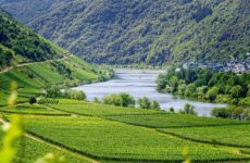 Wie viele Flüsse hat Deutschland