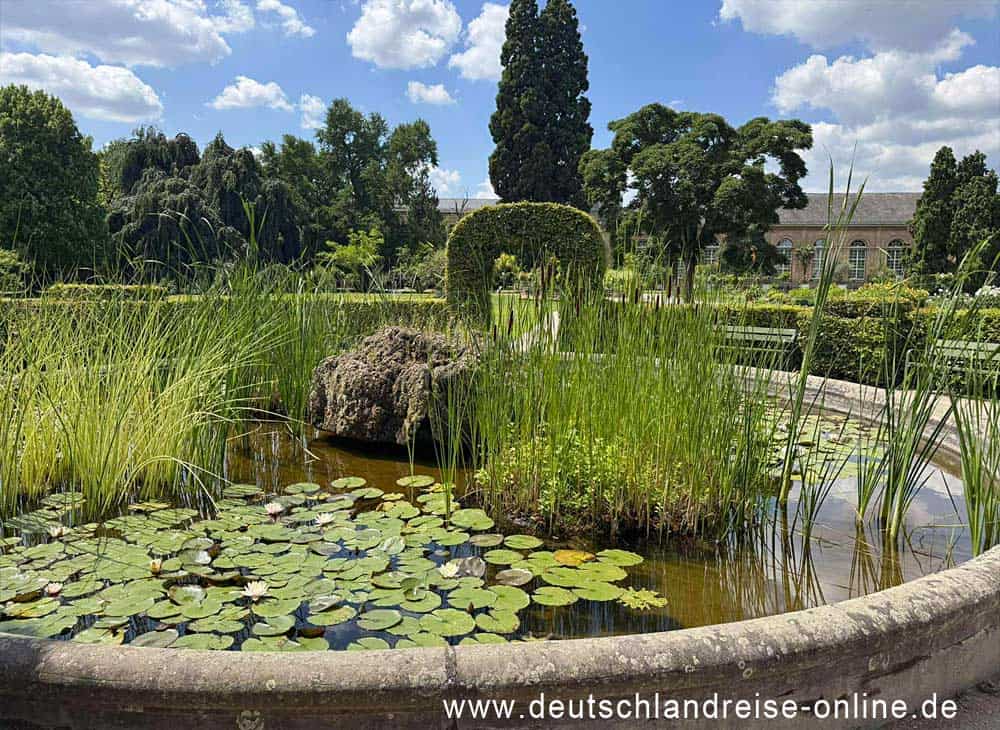 Botanischer Garten mit Teichanlage